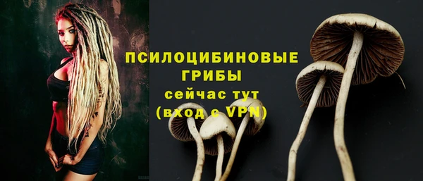 прущие грибы Арсеньев