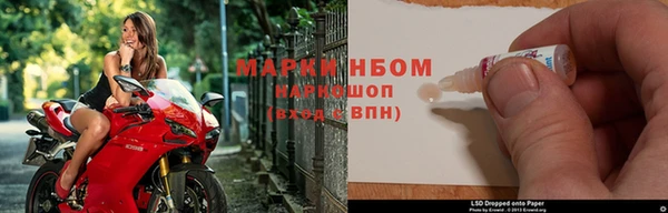 прущие грибы Арсеньев