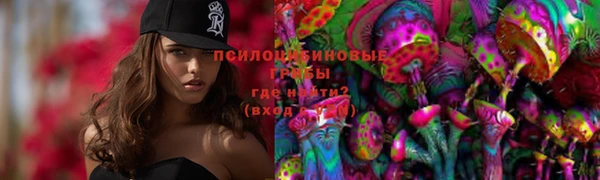 дмт Армянск
