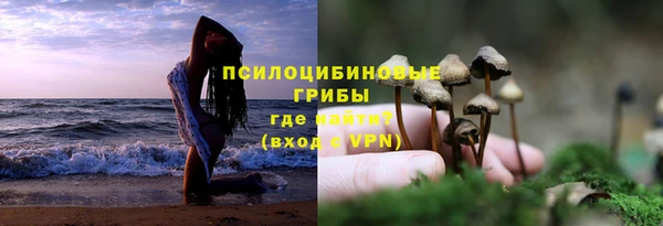 прущие грибы Арсеньев