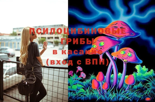прущая мука Аркадак