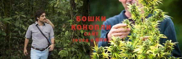 прущие грибы Арсеньев