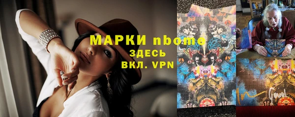 прущие грибы Арсеньев