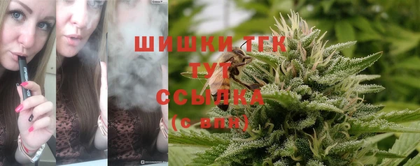 дмт Армянск