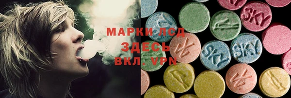 spice Богданович