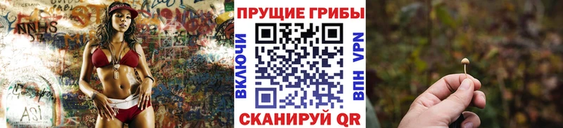 ссылка на мегу сайт  Спас-Деменск  Галлюциногенные грибы мицелий 