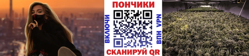 Марихуана Bruce Banner  как найти наркотики  Спас-Деменск 